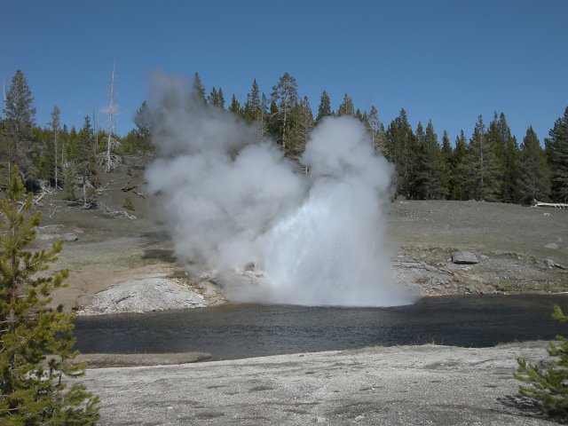 Riverside Geyser Eruption Starting