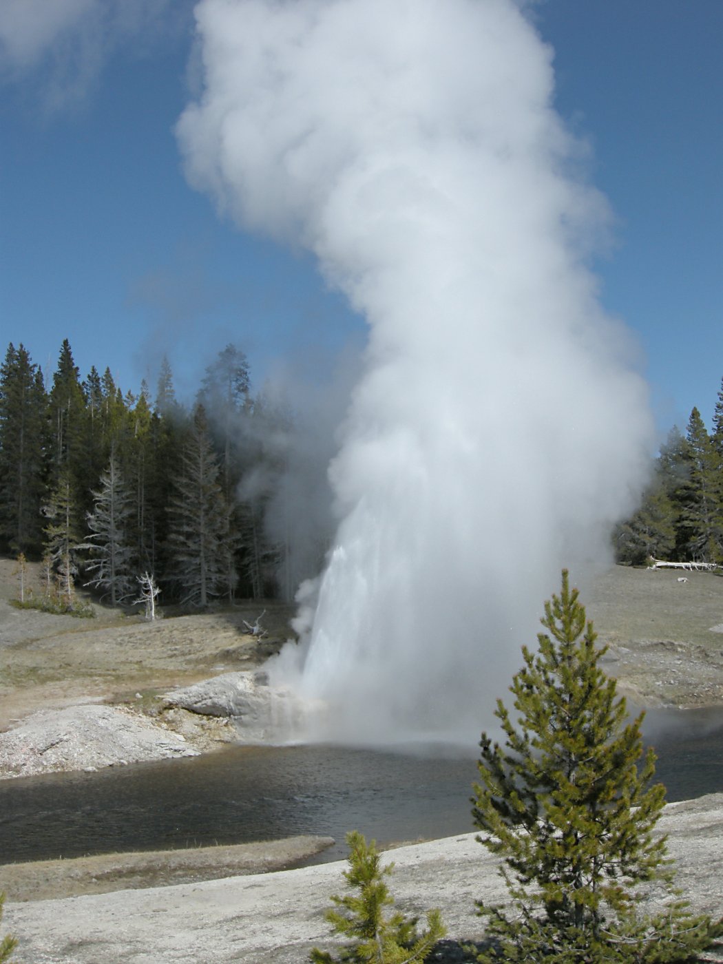 Riverside Geyser Eruption