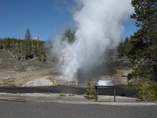 Riverside Geyser Erupting