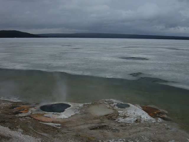 Lakeshore Geyser, West Thumb Geyser Basin
