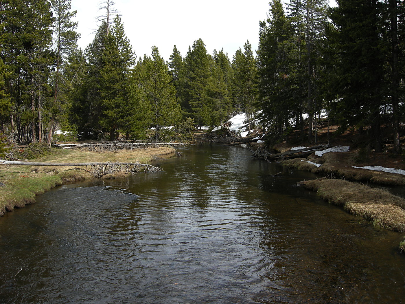 Firehole River where it enters the Upper Geyser Basin near Old Faithful