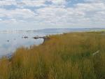 Mono Lake Shoreline