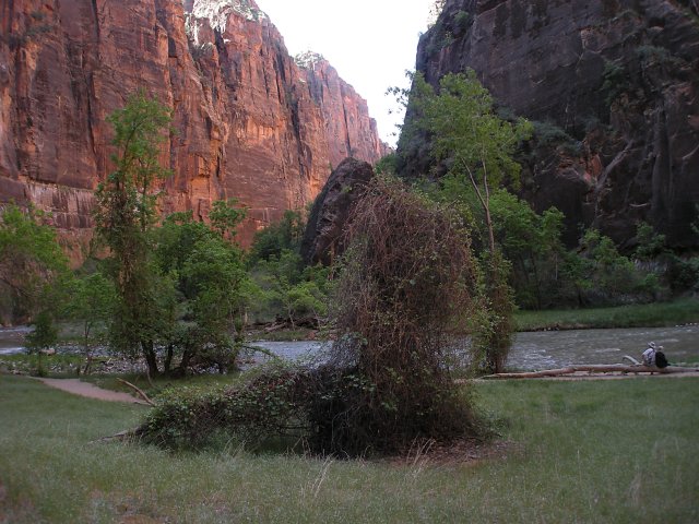 Zion National Park