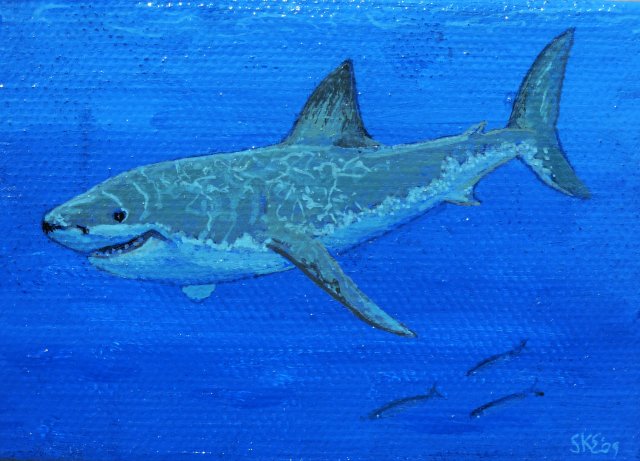 Great White Shark Mini