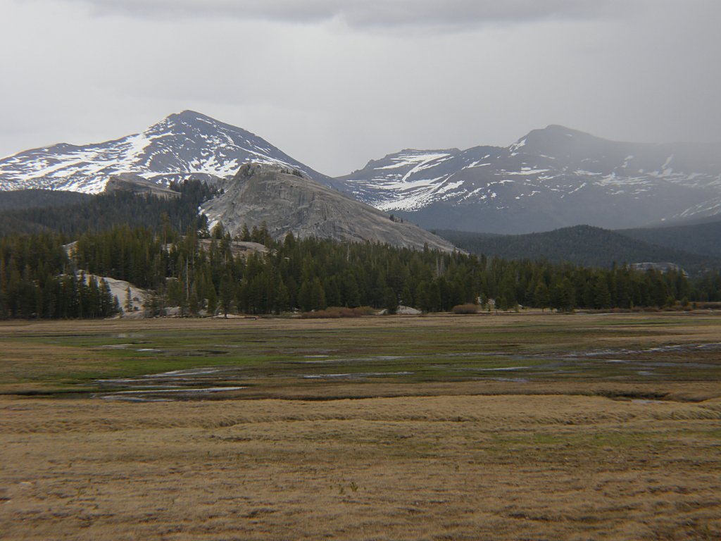 Tuolumne Meadows