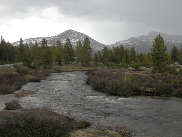 Dana Fork of the Tuoulumne River