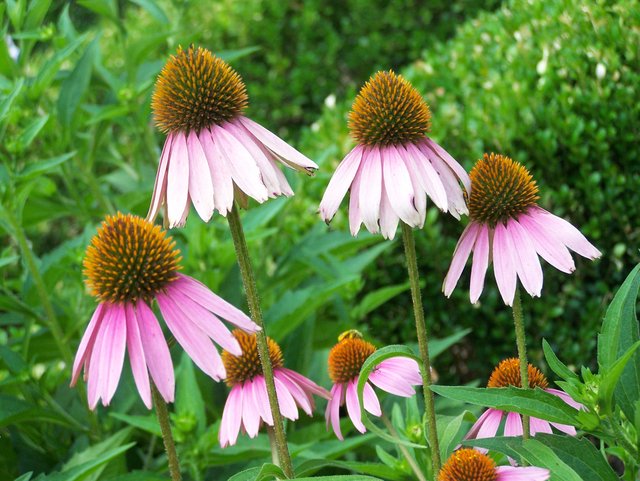017