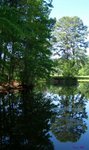 another shot of our pond