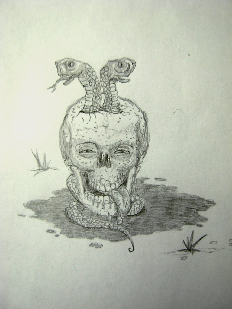 Skull with Snakes