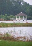 At the Park, Lake Forest Park