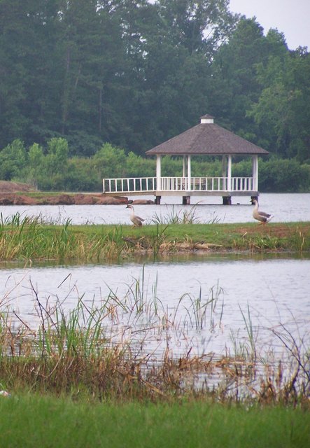 At the Park, Lake Forest Park