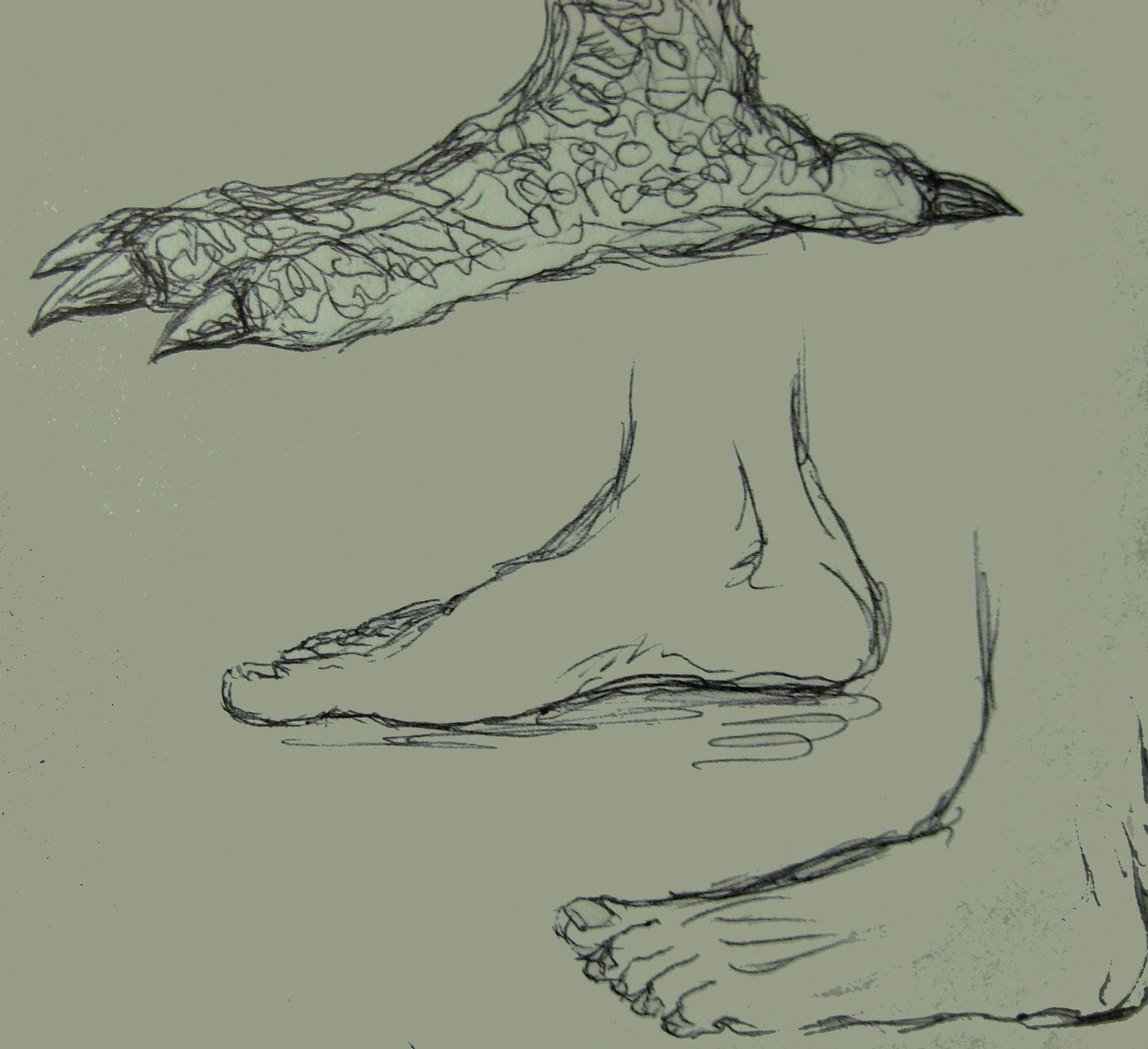 Feet