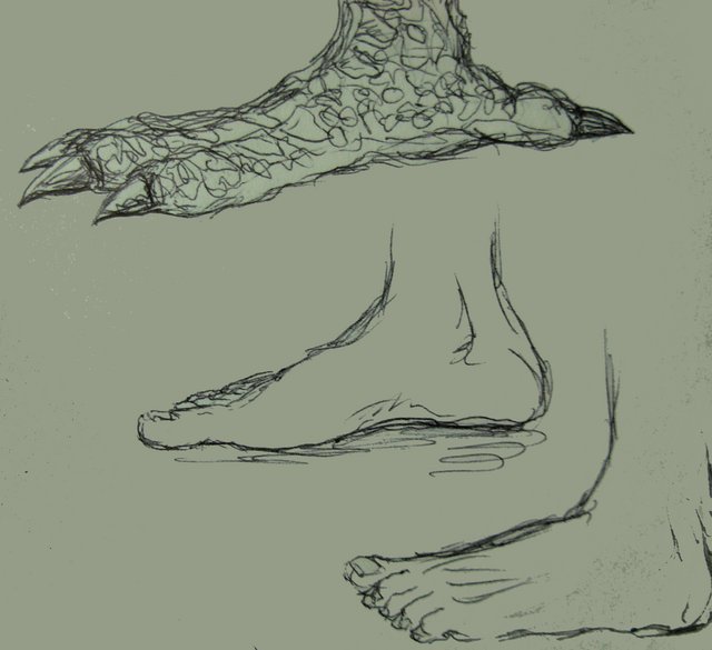 Feet