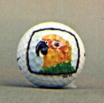Lorokeet ball
