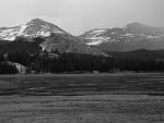 Rain at Tuolumne Meadows B&W