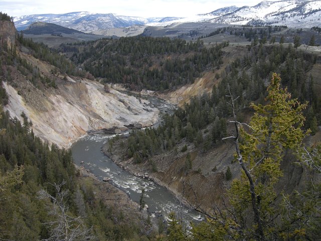 Yellowstone River below Tower Falls