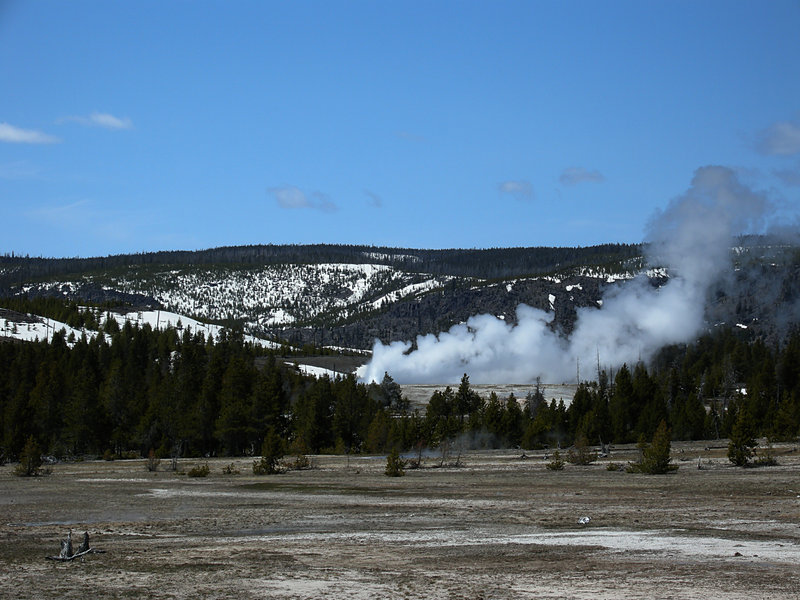 Daisy Geyser Erupting from Grand