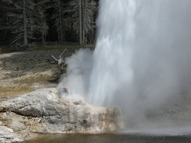 Riverside Geyser