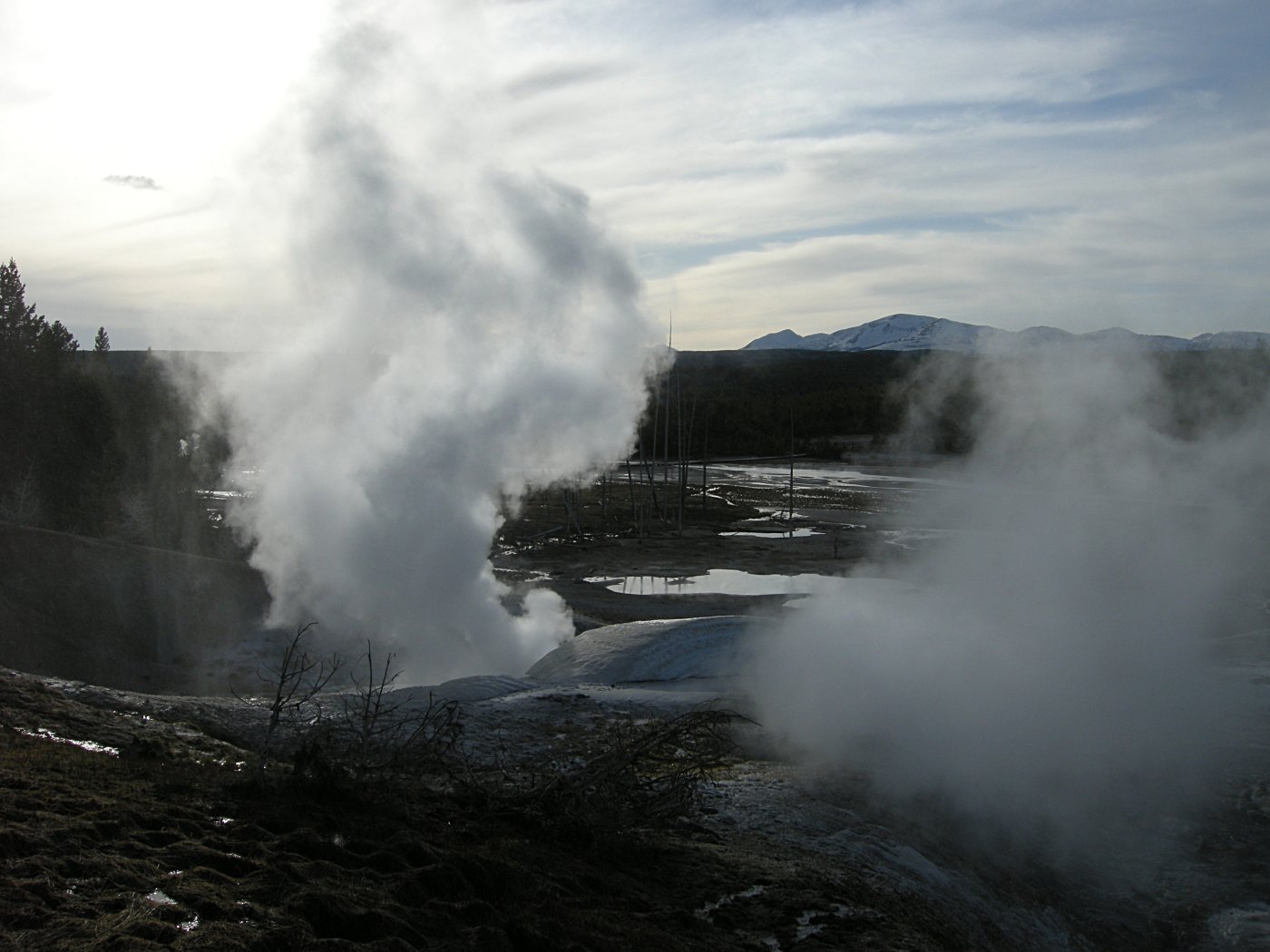 Black Growler Steam Vent - Norris Geyser Basin