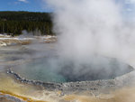 Crested Pool