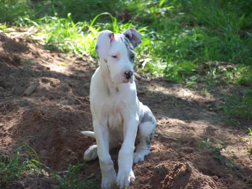 Tiny at 3 months