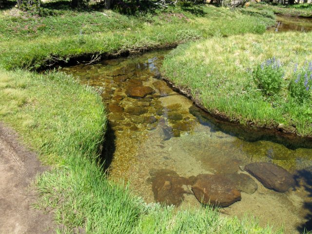 Yosemite 2009 106