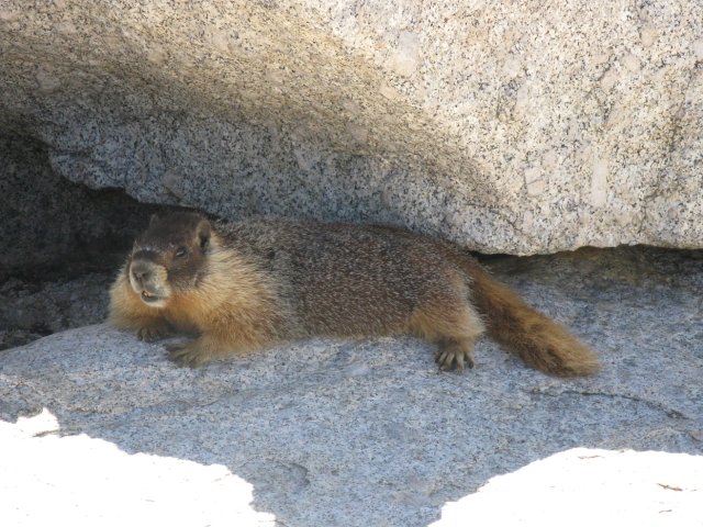 Yosemite 2009 114
