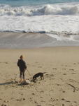 Grunt-Grunt and the Waves