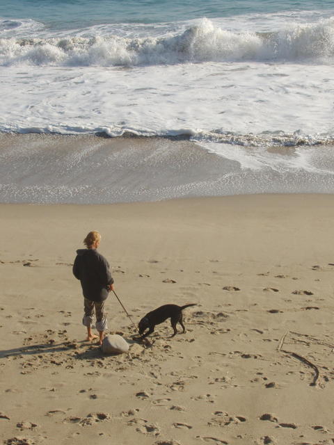 Grunt-Grunt and the Waves