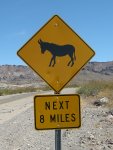 Wild Burro Warning