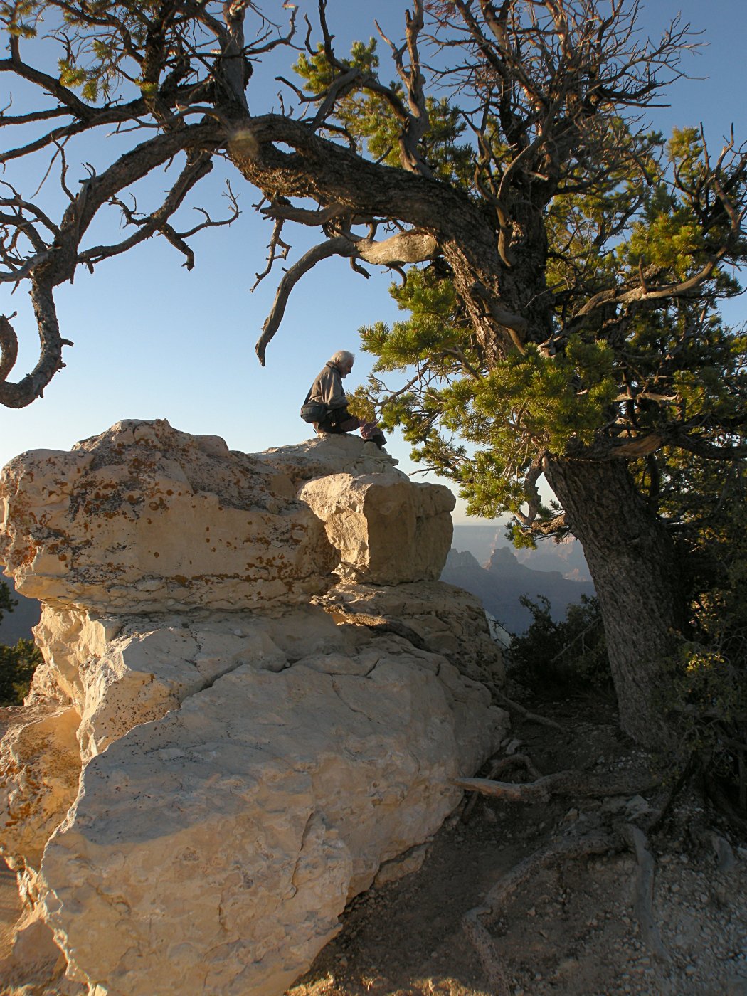 Man on Rock near Bright Angel Point