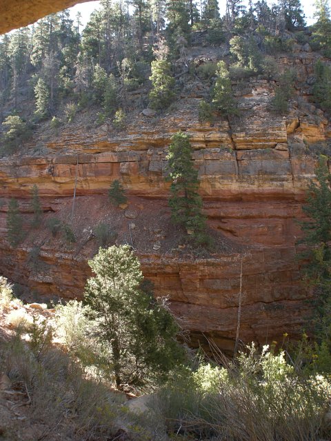 Canyon Wall from Cliff Springs Trail
