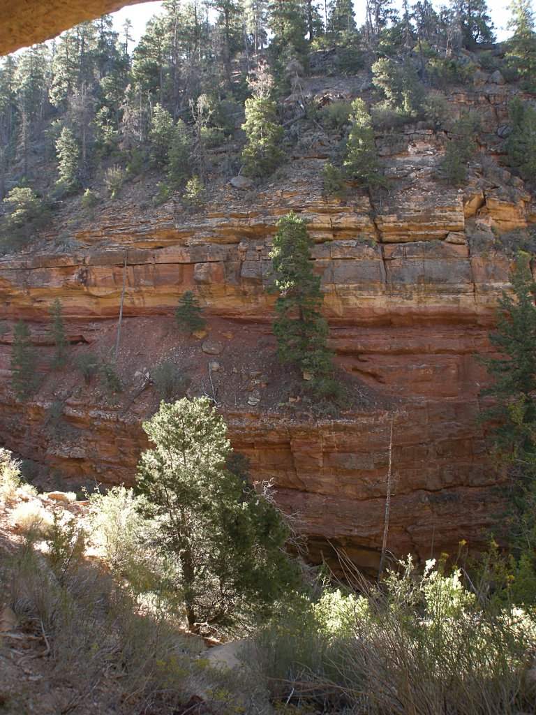 Canyon Wall from Cliff Springs Trail