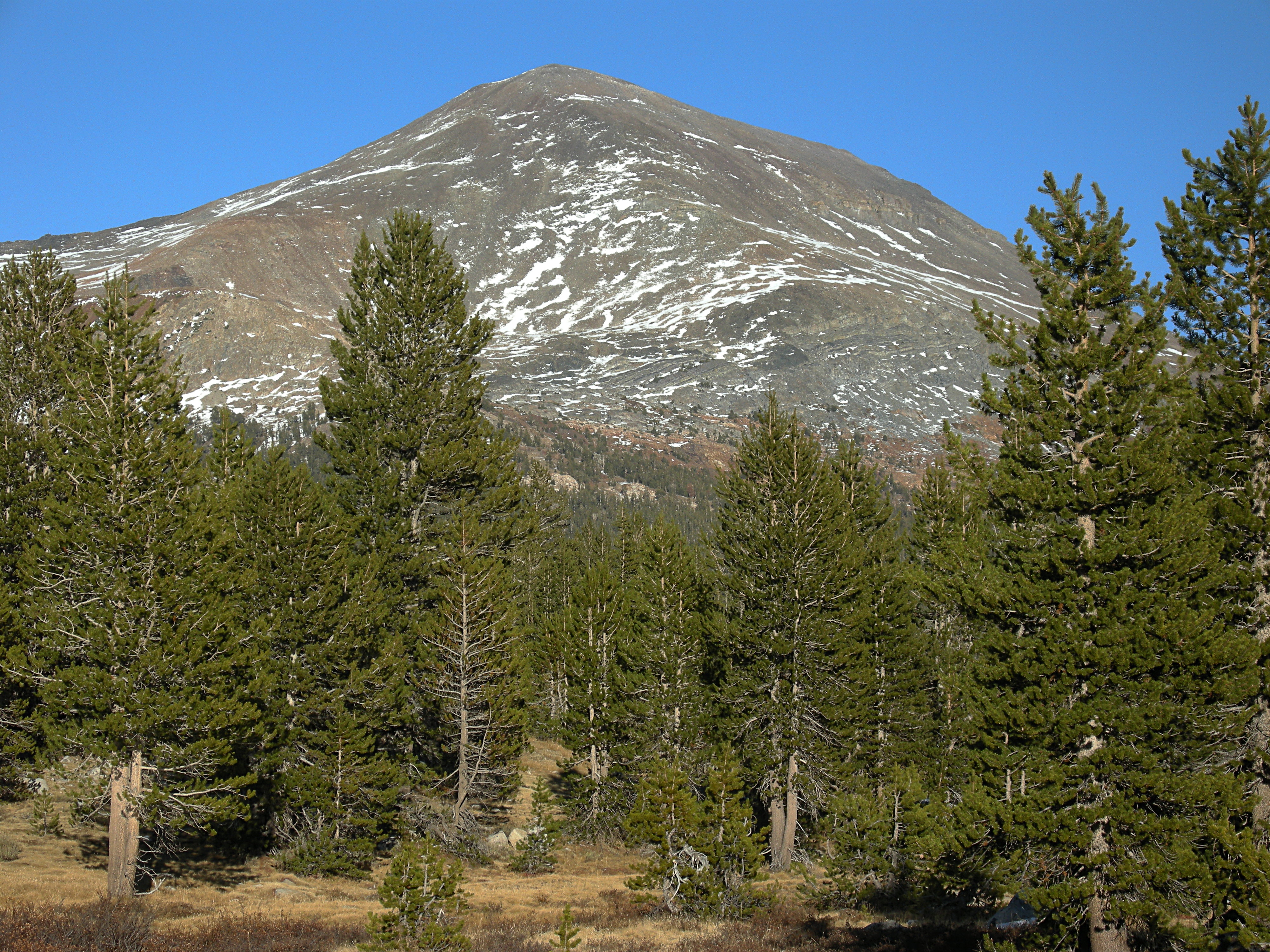 Mount Dana