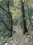 Merced River Trail near Fern Spring