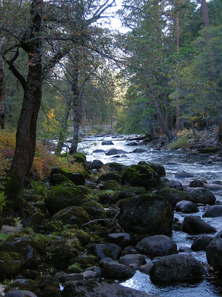 Merced River near Pohono Bridge