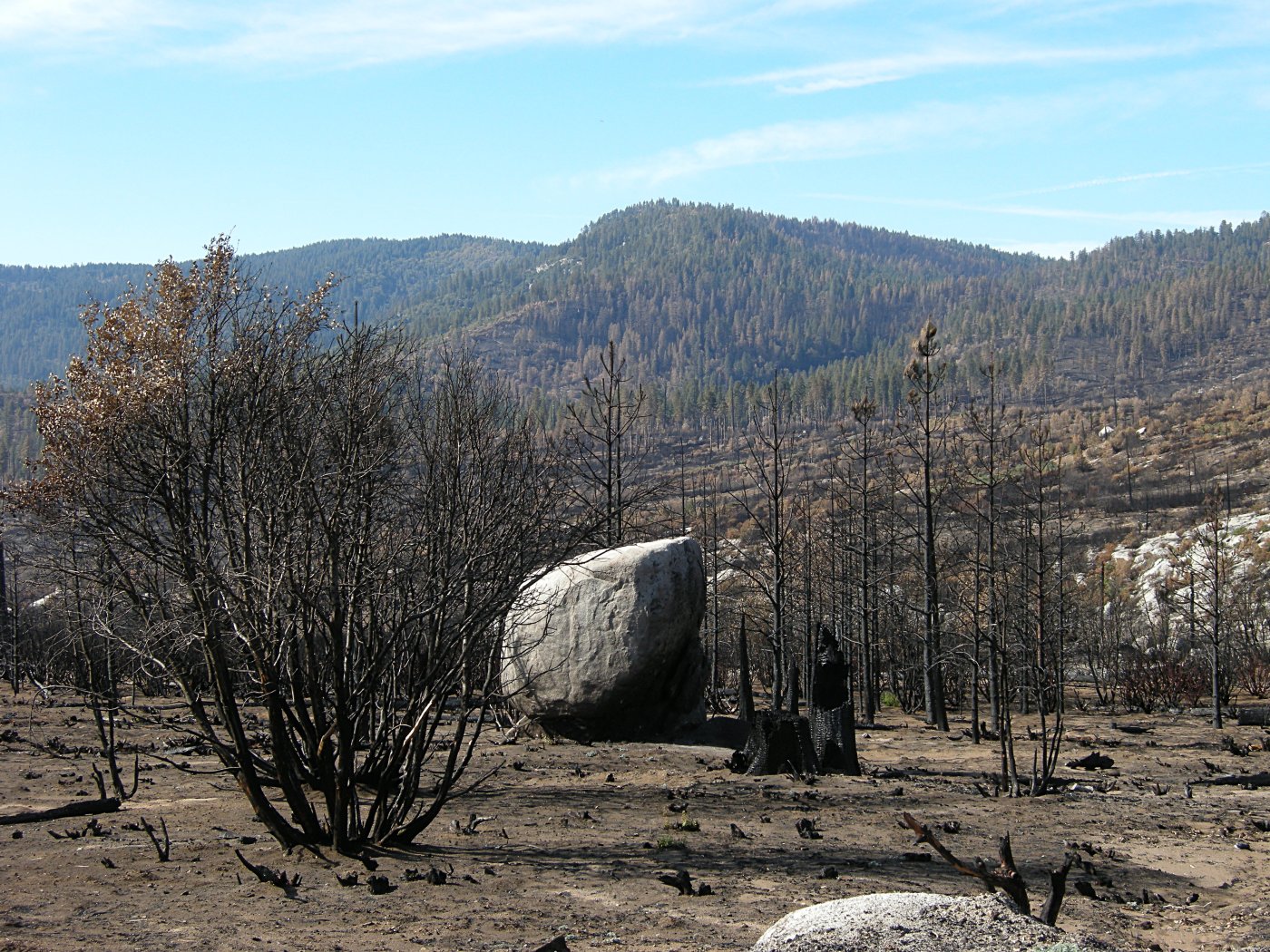 Big Meadow Fire