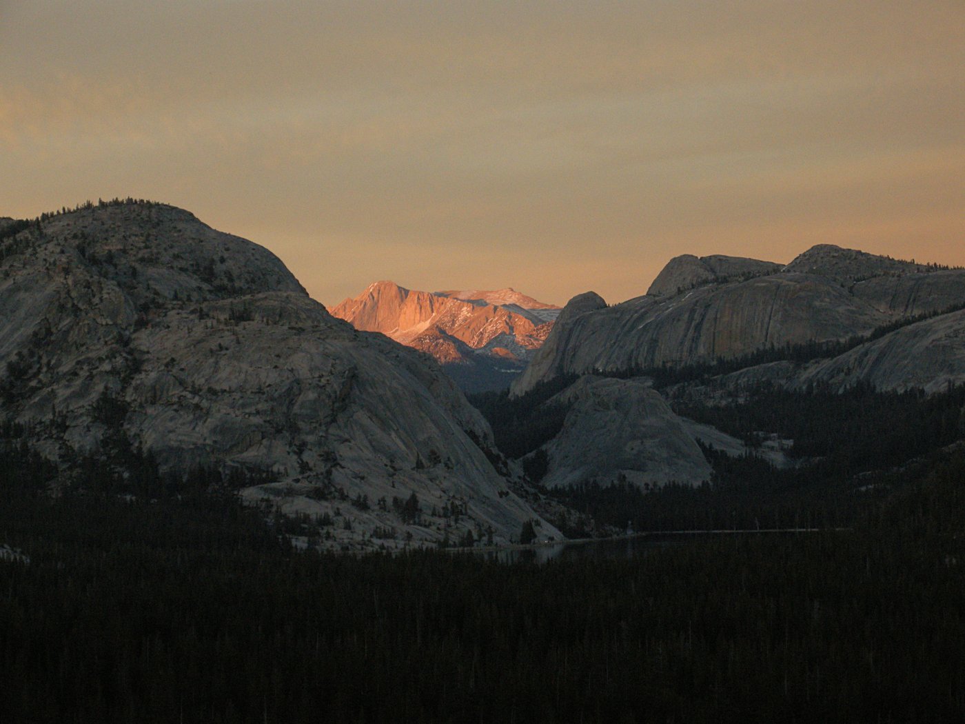 Mt. Conness set aglow by the setting sun