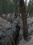 Earthquake Fault, Mammoth Mountain