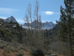 Bare Aspen and Snowy Peaks on North Lake Road