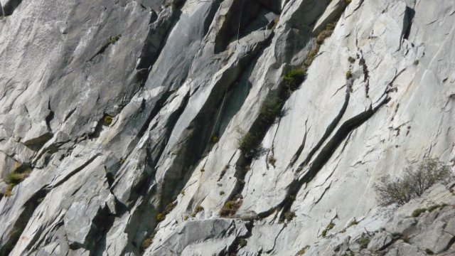 P1000587
