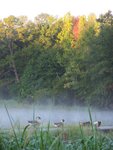 Sunrise at Lake Forest Park