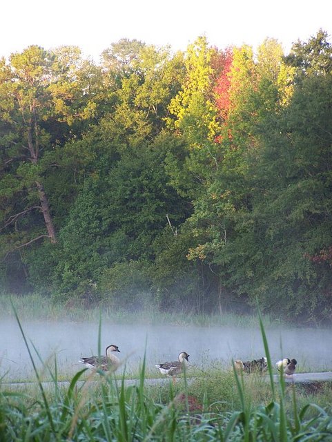 Sunrise at Lake Forest Park