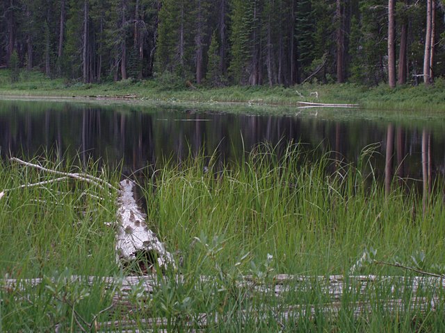 Siesta Lake