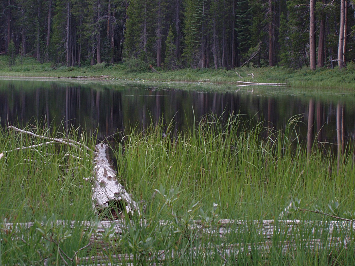 Siesta Lake