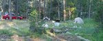 Black Bear investigating a Campsite