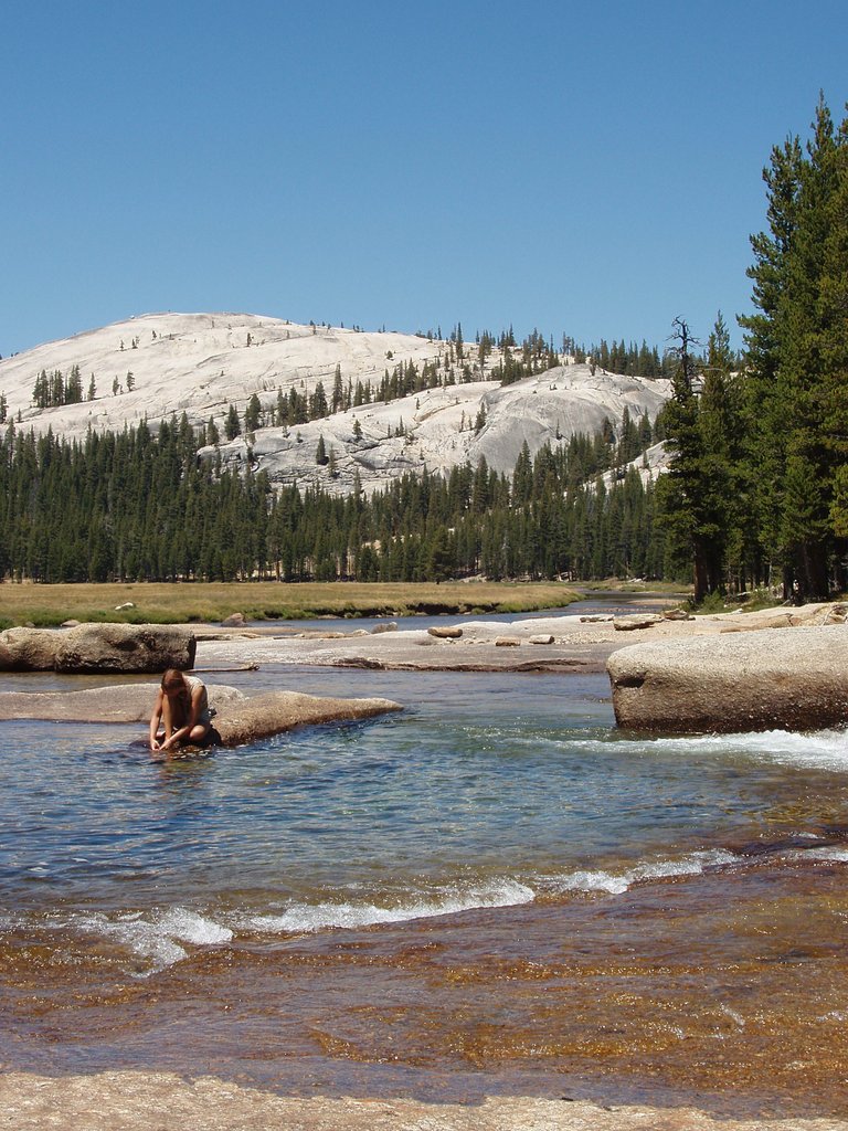 On a Rock in the Tuolumne River