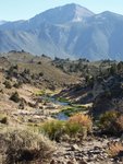 Hot Creek Geothermal Area