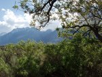 Sierra Nevada from the Owens Valley