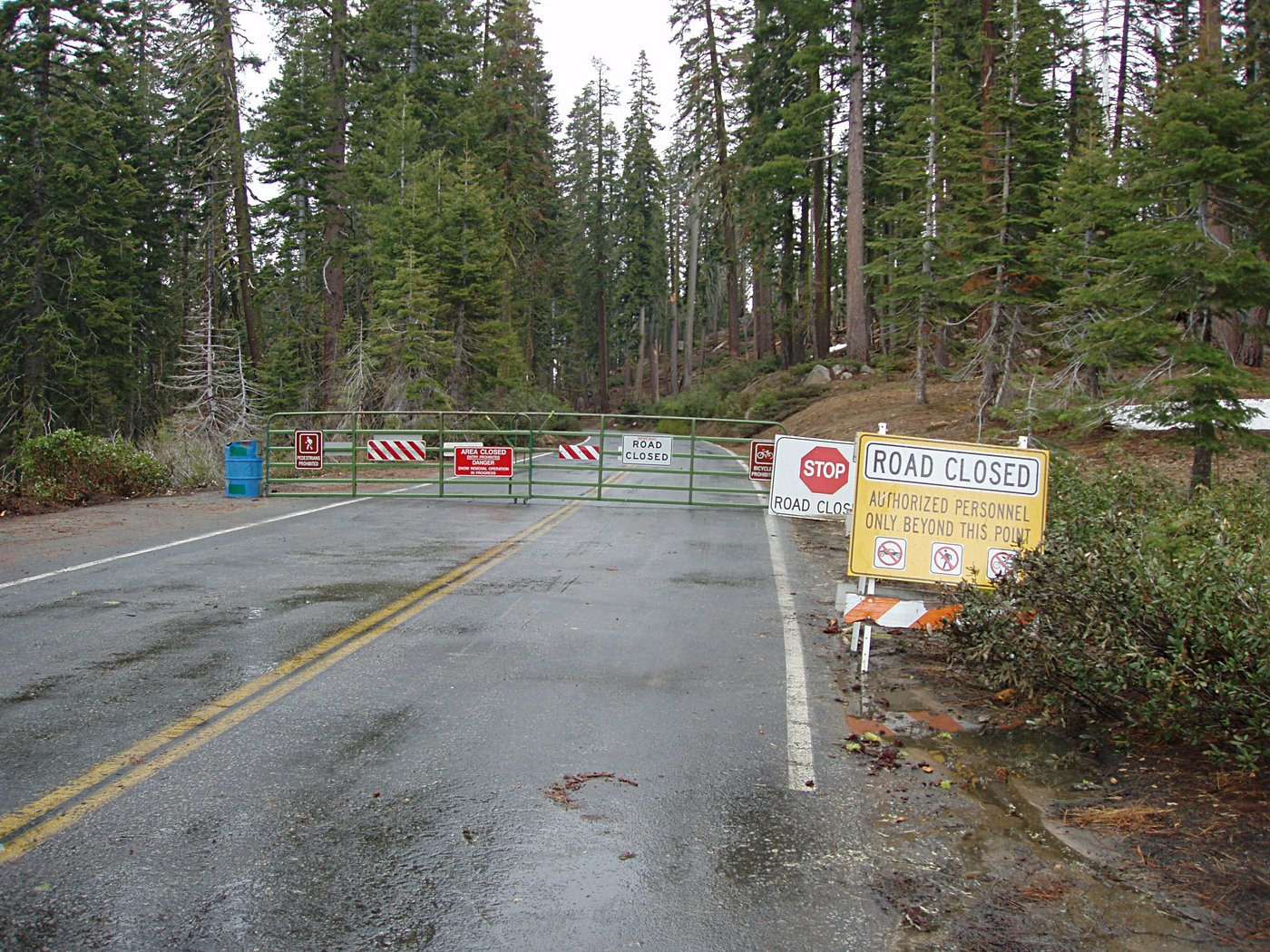 Tioga Road is Closed